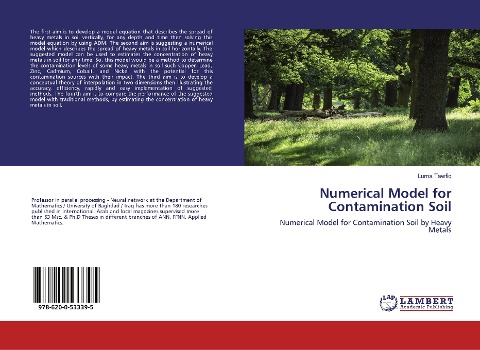 Numerical Model for Contamination Soil: Numerical Model for Contamination Soil by Heavy Metals