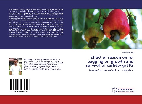Effect of season on re-bagging on growth and survival of cashew grafts: (Anacardium occidentale L.) cv. Vengurla -4