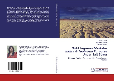 Wild Legumes Melilotus Indica & Tephrosia Purpurea Under Salt Stress: Nitrogen Fixation, Enzyme Activity Phytochemical Analysis