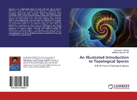 An Illustrated Introduction to Topological Spaces: A Brief View of Topological Spaces