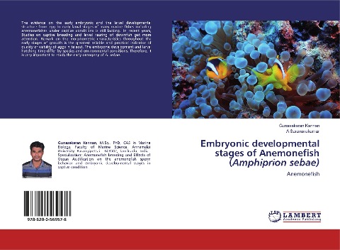 Embryonic developmental stages of Anemonefish (Amphiprion sebae): Anemonefish