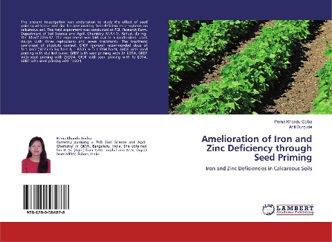 Amelioration of Iron and Zinc Deficiency through Seed Priming: Iron and Zinc Deficiencies in Calcareous Soils