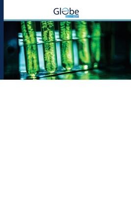 Investigating Industrial Catalysts and the Principles: of their Use in Industry