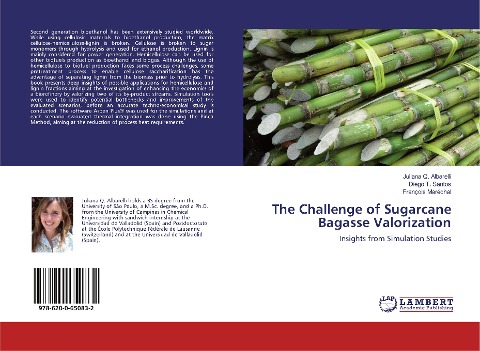 The Challenge of Sugarcane Bagasse Valorization: Insights from Simulation Studies