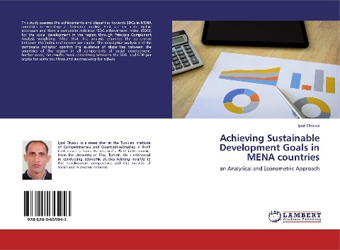 Achieving Sustainable Development Goals in MENA countries: an Analytical and Econometric Approach