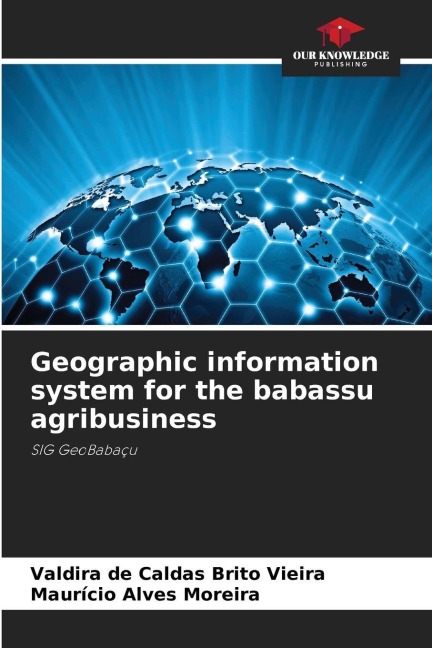 Geographic information system for the babassu agribusiness: SIG GeoBabaçu