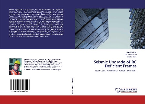 Seismic Upgrade of RC Deficient Frames: Steel/Concrete Haunch Retrofit Solutions