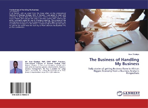 The Business of Handling My Business: Daily stories of getting Business Done in Africas Biggest Economy from a Business Analysts Perspectives