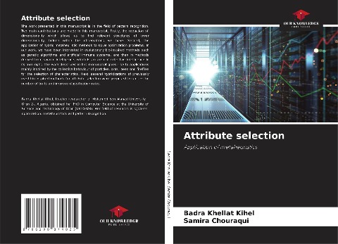 Attribute selection: Application of metaheuristics