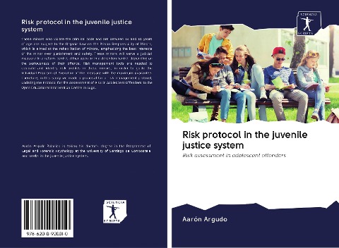 Risk protocol in the juvenile justice system: Risk assessment in adolescent offenders