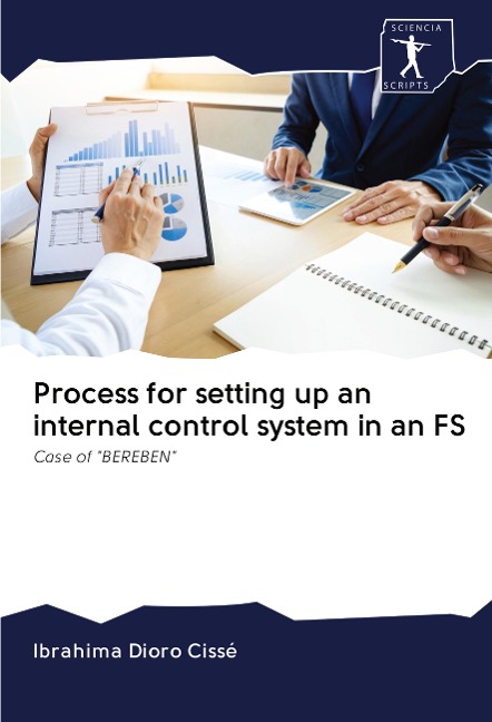 Process for setting up an internal control system in an FS: Case of "BEREBEN"