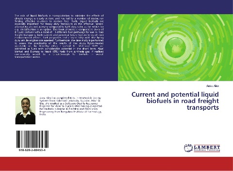 Current and potential liquid biofuels in road freight transports