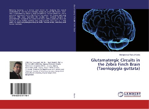 Glutamatergic Circuits in the Zebra Finch Brain (Taeniopygia guttata)