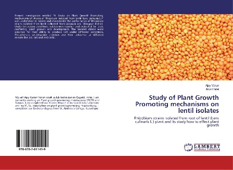 Study of Plant Growth Promoting mechanisms on lentil isolates: Rhizobium strains isolated from root of lentil (Lens culinaris L.) plant and its study how to effect plant growth