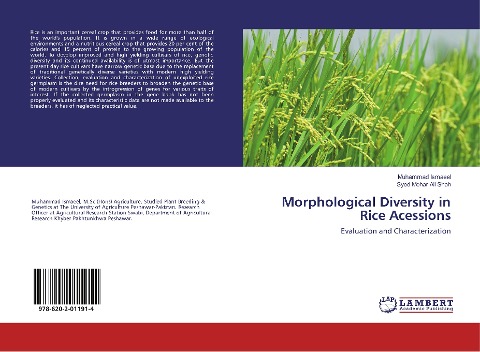 Morphological Diversity in Rice Acessions: Evaluation and Characterization
