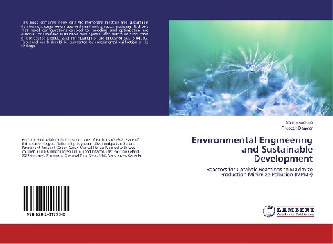 Environmental Engineering and Sustainable Development: Reactors for Catalytic Reactions to Maximize Production-Minimize Pollution (MPMP)