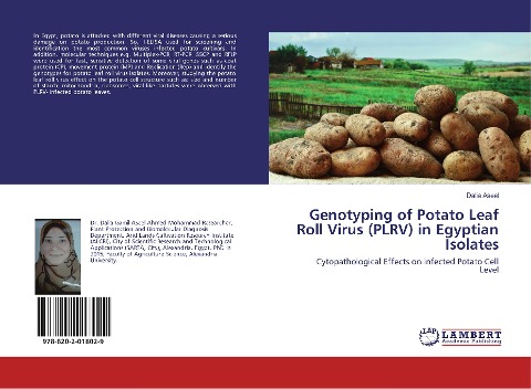 Genotyping of Potato Leaf Roll Virus (PLRV) in Egyptian Isolates: Cytopathological Effects on infected Potato Cell Level