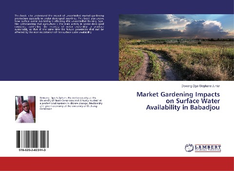 Market Gardening Impacts on Surface Water Availability in Babadjou
