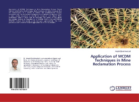 Application of MCDM Techniques in Mine Reclamation Process