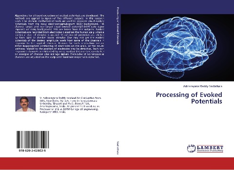 Processing of Evoked Potentials