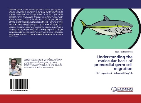 Understanding the molecular basis of primordial germ cell migration: PGC migration in Yellowtail Kingfish