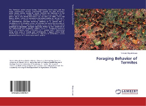 Foraging Behavior of Termites
