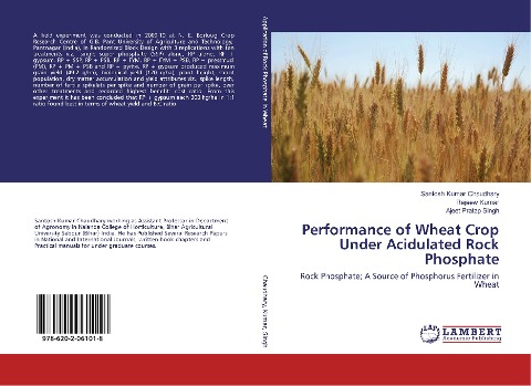 Performance of Wheat Crop Under Acidulated Rock Phosphate: Rock Phosphate; A Source of Phosphorus Fertilizer in Wheat
