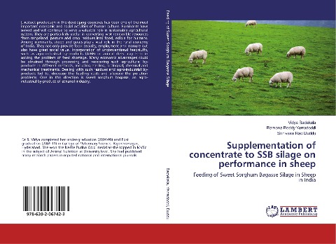 Supplementation of concentrate to SSB silage on performance in sheep: Feeding of Sweet Sorghum Bagasse Silage in Sheep in India