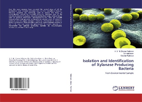 Isolation and Identification of Xylanase Producing Bacteria: From Environmental Sample
