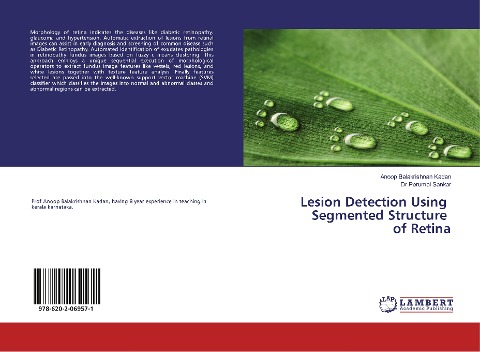 Lesion Detection Using Segmented Structure of Retina