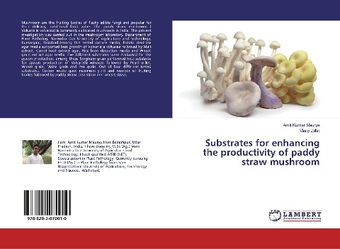 Substrates for enhancing the productivity of paddy straw mushroom