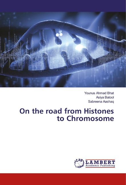 On the road from Histones to Chromosome
