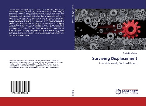 Surviving Displacement: Invisible Internally Displaced Persons