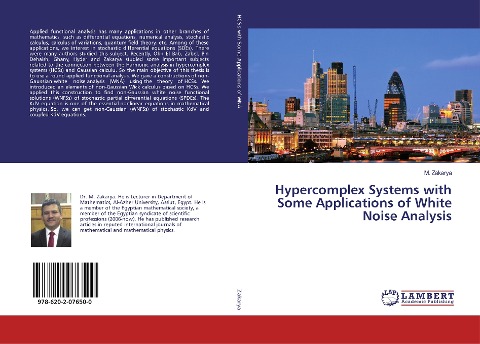 Hypercomplex Systems with Some Applications of White Noise Analysis
