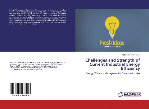 Challenges and Strength of Current Industrial Energy Efficiency: Energy Efficiency Management in Steam Industries