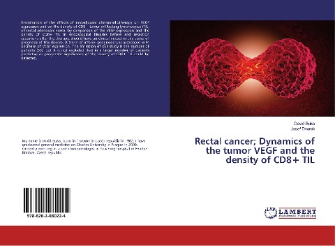 Rectal cancer; Dynamics of the tumor VEGF and the density of CD8+ TIL