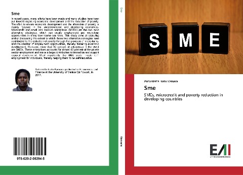 Sme: SMEs, microcredit and poverty reduction in developing countries