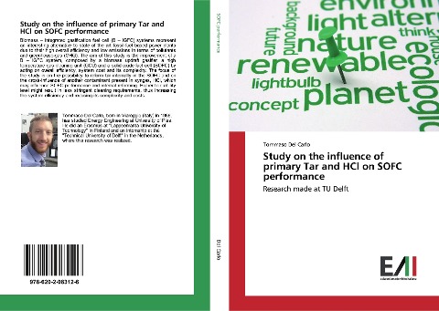 Study on the influence of primary Tar and HCl on SOFC performance: Research made at TU Delft