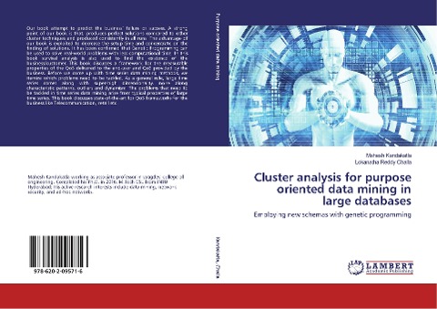 Cluster analysis for purpose oriented data mining in large databases: Employing new schemas with genetic programming