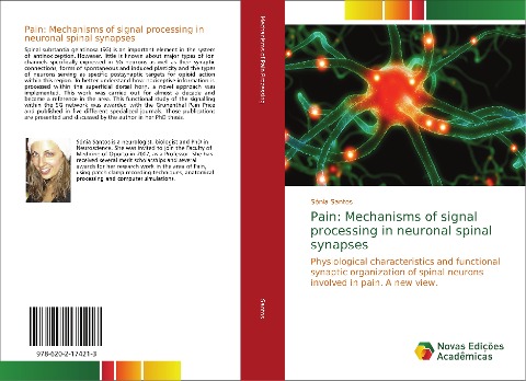 Pain: Mechanisms of signal processing in neuronal spinal synapses: Physiological characteristics and functional synaptic organization of spinal neurons involved in pain. A new view.