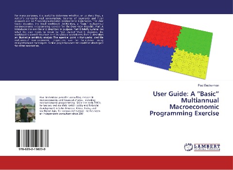 User Guide: A Basic Multiannual Macroeconomic Programming Exercise