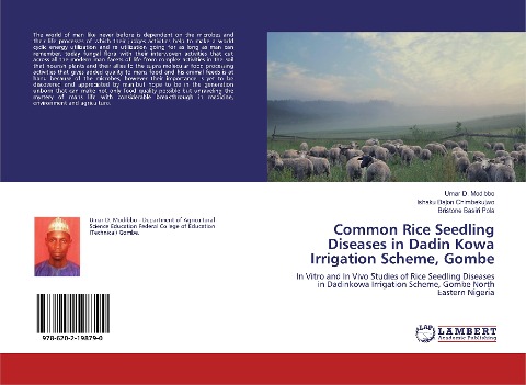 Common Rice Seedling Diseases in Dadin Kowa Irrigation Scheme, Gombe: In Vitro and In Vivo Studies of Rice Seedling Diseases in Dadinkowa Irrigation Scheme, Gombe North Eastern Nigeria