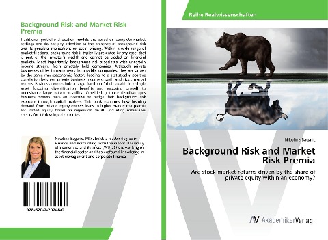 Background Risk and Market Risk Premia: Are stock market returns driven by the share of private equity within an economy?