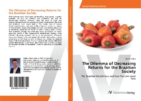 The Dilemma of Decreasing Returns for the Brazilian Society: The Brazilian Wealth Gap and how Tourism could help