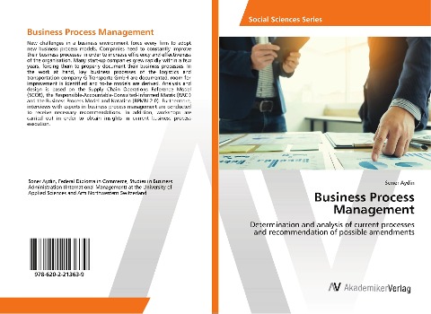 Business Process Management: Determination and analysis of current processes and recommendation of possible amendments