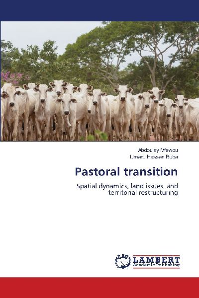 Pastoral transition: Spatial dynamics, land issues, and territorial restructuring