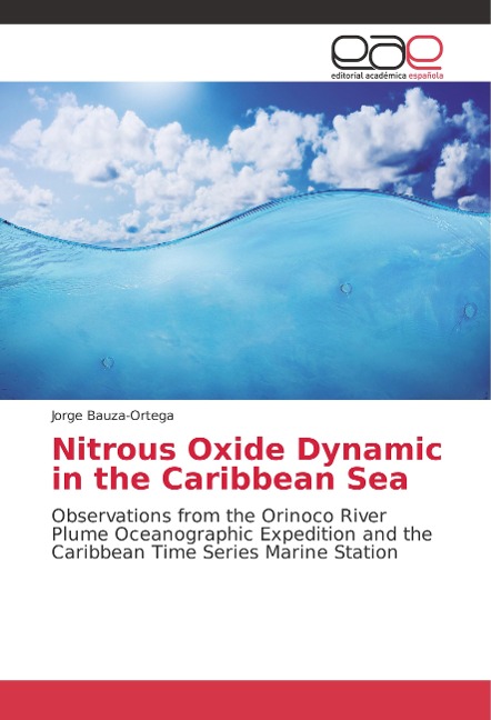 Nitrous Oxide Dynamic in the Caribbean Sea: Observations from the Orinoco River Plume Oceanographic Expedition and the Caribbean Time Series Marine Station