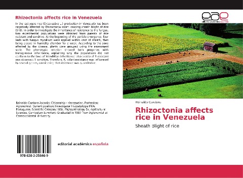 Rhizoctonia affects rice in Venezuela: Sheath Blight of rice