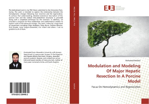 Modulation and Modeling Of Major Hepatic Resection In A Porcine Model: Focus On Hemodynamics and Regeneration