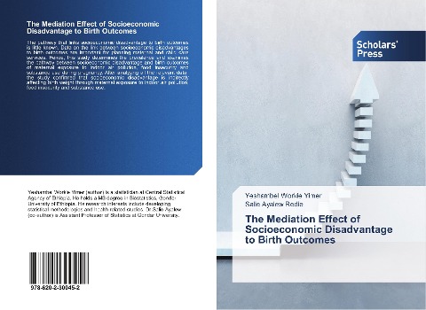 The Mediation Effect of Socioeconomic Disadvantage to Birth Outcomes
